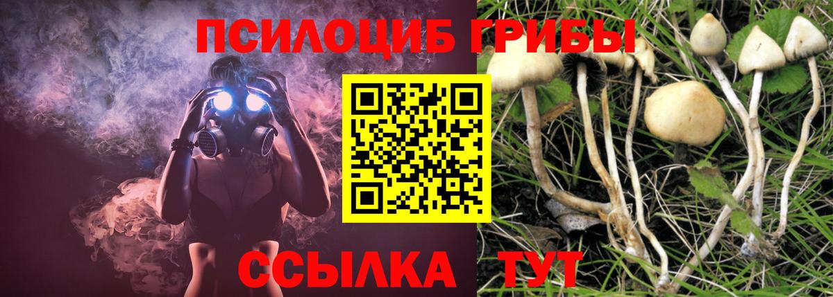 Галлюциногенные грибы GOLDEN TEACHER Сыктывкар